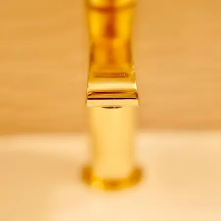 Roma Divine Cinema Et Jardin