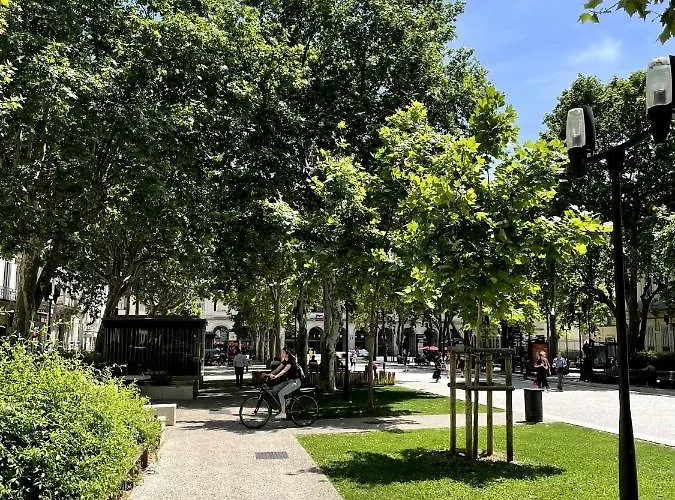 Appartement Roma Divine Cinema Et Jardin Nîmes
